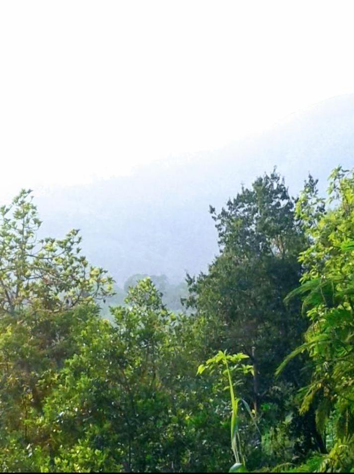 Green Jungle " Cool View" Appartement Ella Buitenkant foto