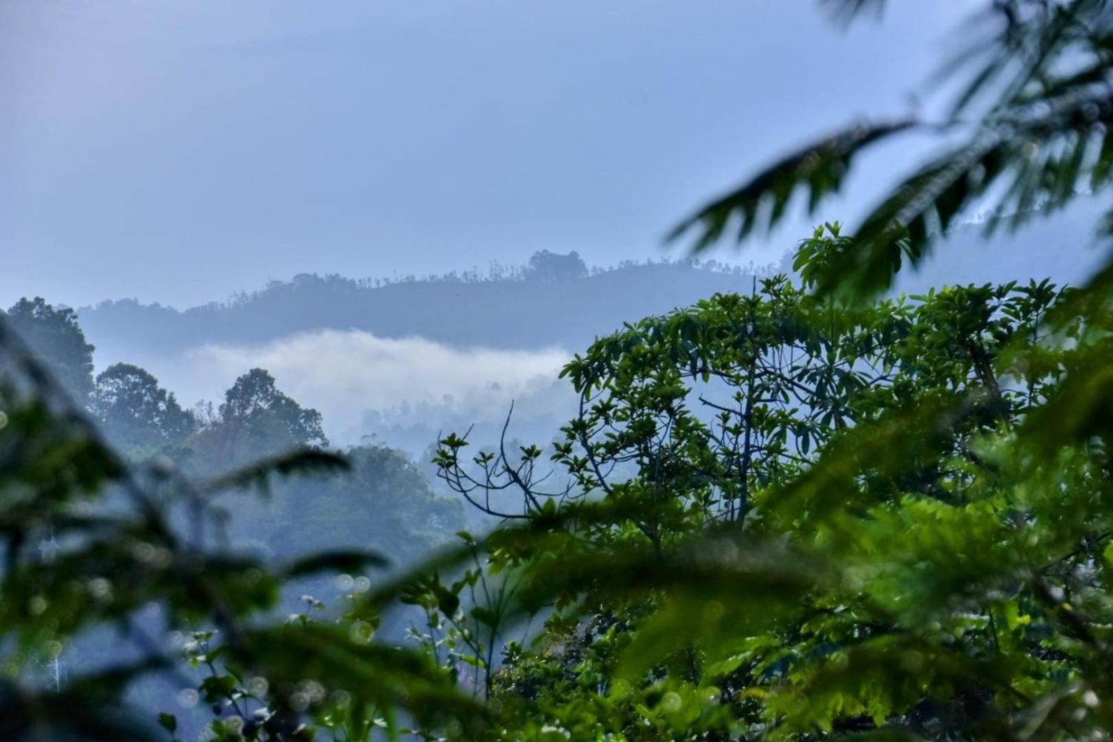 Green Jungle " Cool View" Appartement Ella Buitenkant foto