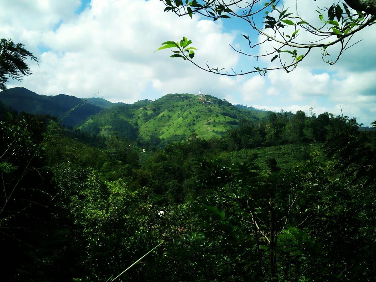 Green Jungle " Cool View" Appartement Ella Buitenkant foto